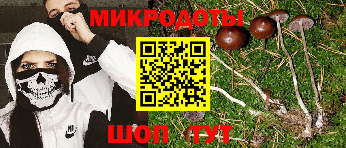 Псилоцибиновые грибы GOLDEN TEACHER  Вход с VPN  Кудрово 