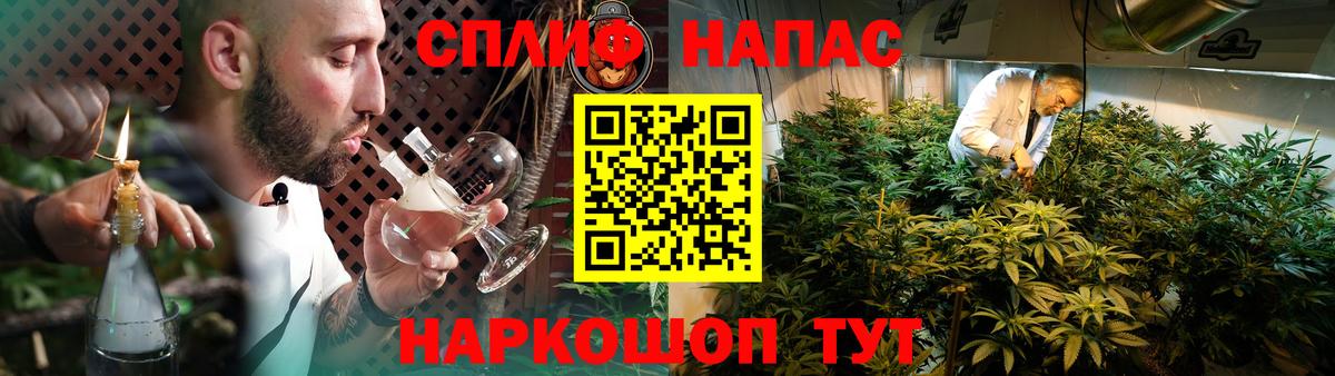 Конопля MAZAR  Вход с VPN  Канабис THC 21%  Марихуана конопля  Кудрово 